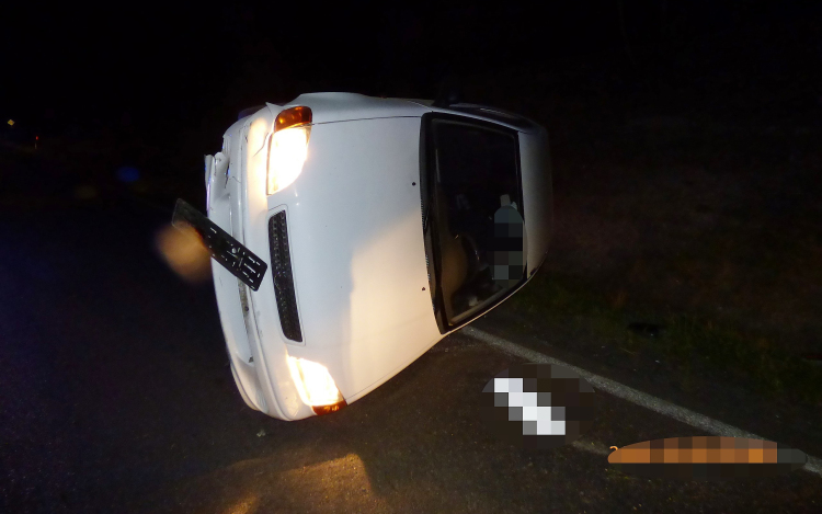 Vigyázat, szarvasok!