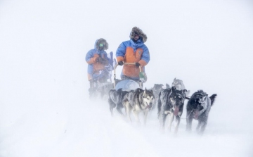 300 kilométer kutyaszánon, az Északi Sarkkörön - Élete kihívására készül a pápai Németh Zoltán