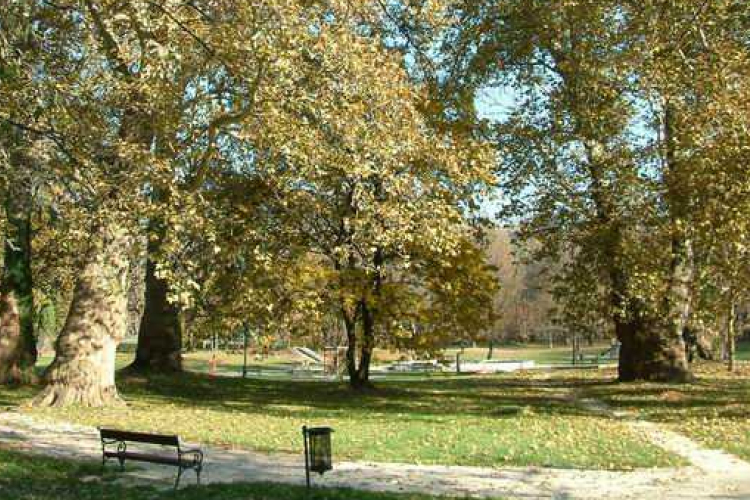 Zöld város projekt: Csütörtökön lakossági fórumot tartanak a Várkertben!