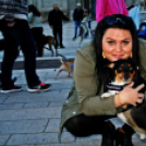 Flashmob az Állatok Világnapján - Pápa