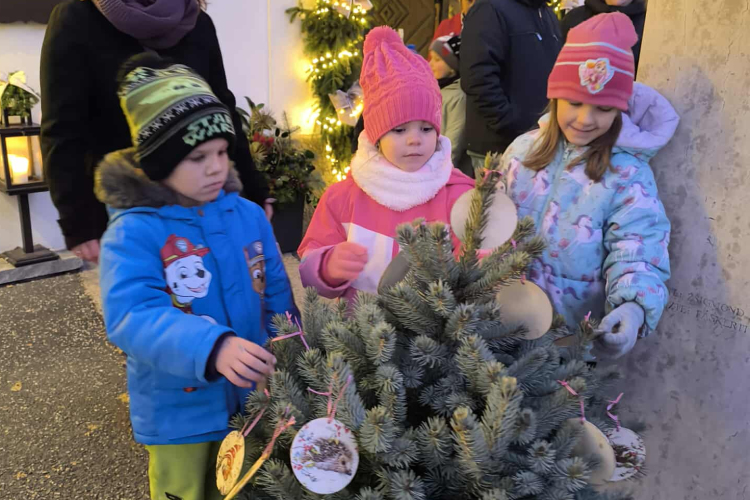 A pápai ovisok díszítették fel a belváros kis karácsonyfáit