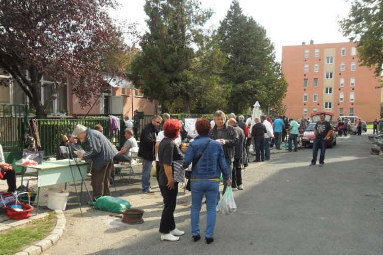Vajda Péter Lakótelepi Nap - Pápa