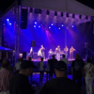 Pápai Cicege és Borfesztivál - Szombat - 2025