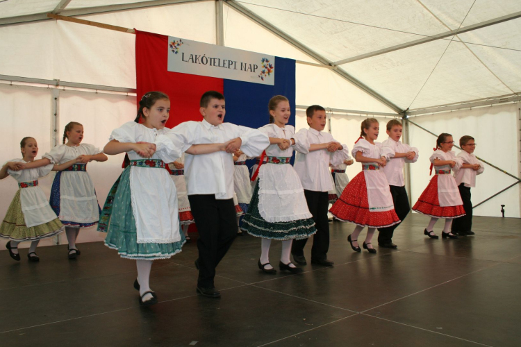 Ilyen volt a Vajda lakótelepi nap