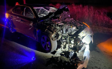 Szarvasvonulásba hajtott bele Hoppál Péter, teljesen összeroncsolódott az autója - fotók