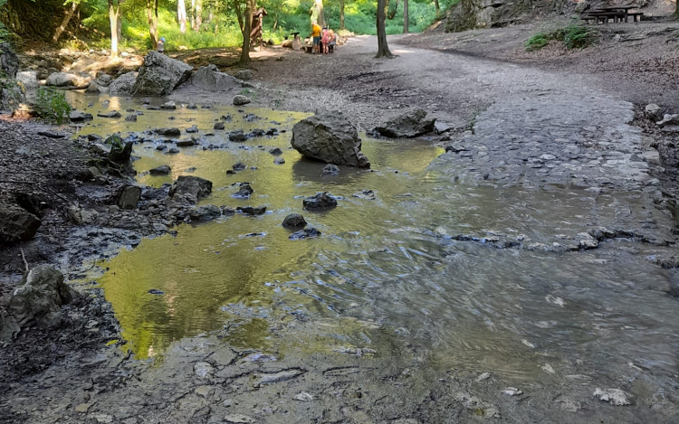 Újra látogatható a Cuha völgye