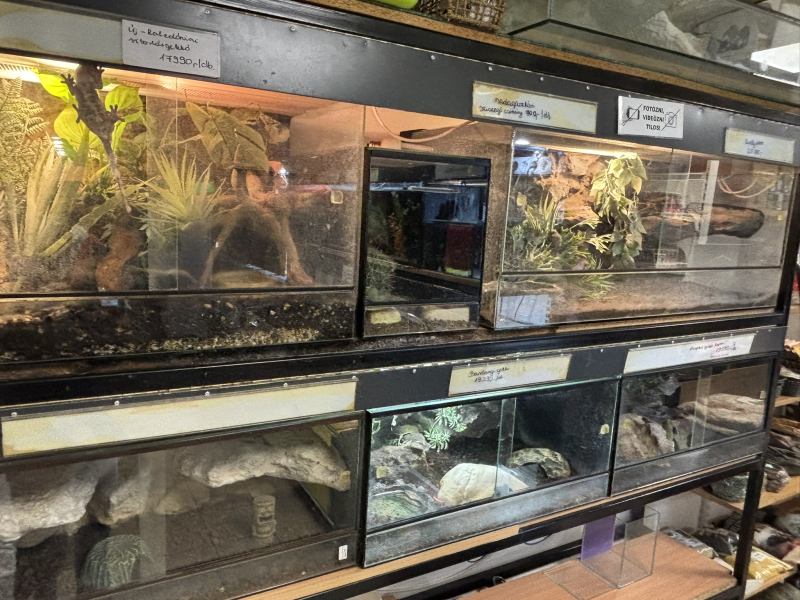 Inter-Fisch-Zoo - Díszállat Centrum - Pápa