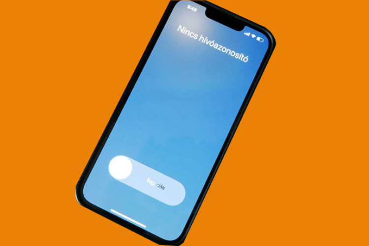 Szakjogász: Jogsértő a Pápán végzett közvélemény-kutatás