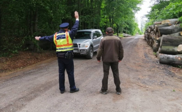 A pápai rendőrök erdészekkel és vadőrökkel közösen ellenőrizték a bakonyi erdőket