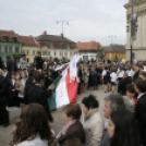 Városi Ballagás - Pápa - 2015