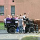 Vajda Péter Lakótelepi Nap