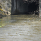 Árad a Bakonyér és a Gerence