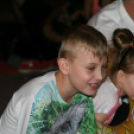 Éjszakai barnulás Pápán