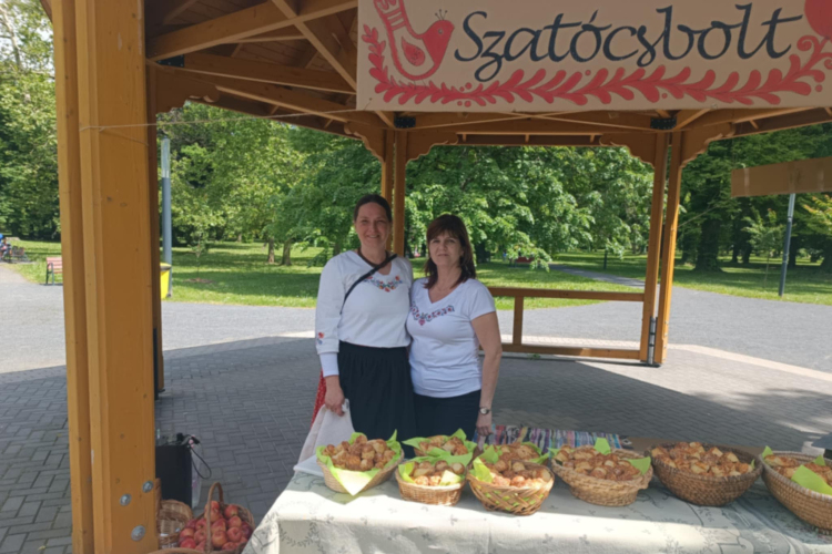 Városi Gyemeknak - 2025 - Pápa 