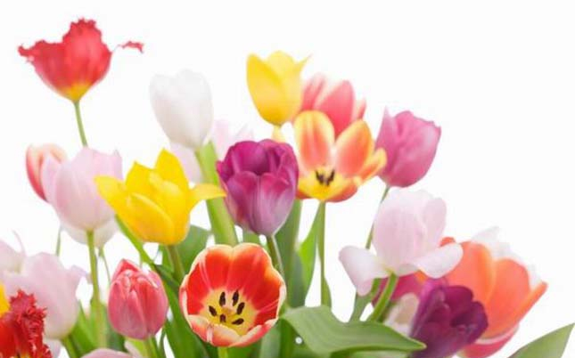 Köszöntse édesanyját a mai napon, de ne csak ma szeresse!