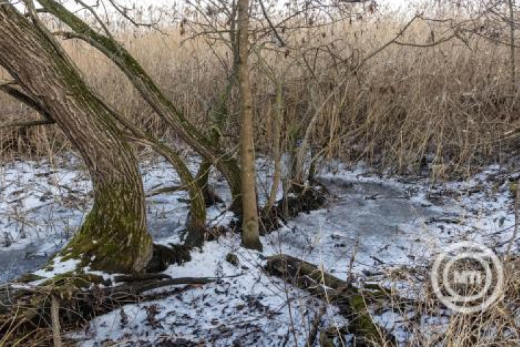 A meteorológusokat is meglepte a Balatonnál tapasztalt jelenség