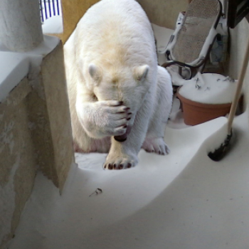 Havazás - Ahogy olvasóink látják