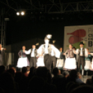 Pápai Csülök-, Cicege- és Borfesztivál - Borpéntek