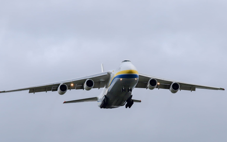 Jókora vendég érkezett a pápai reptérre