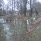 Árad a Bakonyér és a Gerence