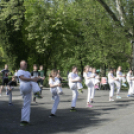 Mozdulj Pápa - 2016