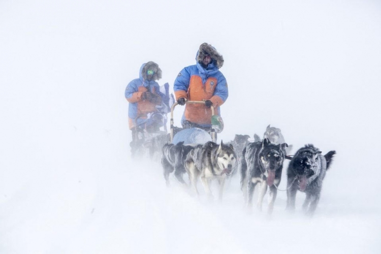 300 kilométer kutyaszánon, az Északi Sarkkörön - Élete kihívására készül a pápai Németh Zoltán