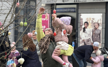 Közösségi tojásfa díszítés Pápán