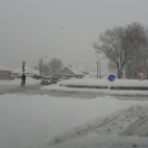 40 cm hó Pápán - 2013