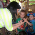 Pápai Agrárexpo - 2015 - Képgeléria