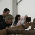 Pápai Agrárexpo 2017 - Szombat