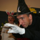 Dé-Mol: Az Elvarázsolt Erdő a Jókai Mór Városi Könyvtárban