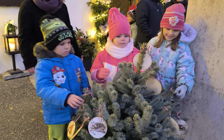 A pápai ovisok díszítették fel a belváros kis karácsonyfáit