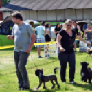 2 x CAC Nemzeti Kutyakiállítás – Pápa