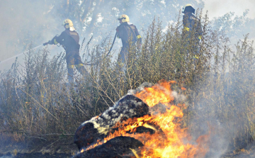 A Marcal mindkét partja lángolt