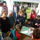 Városi Gyermeknap - Pápa