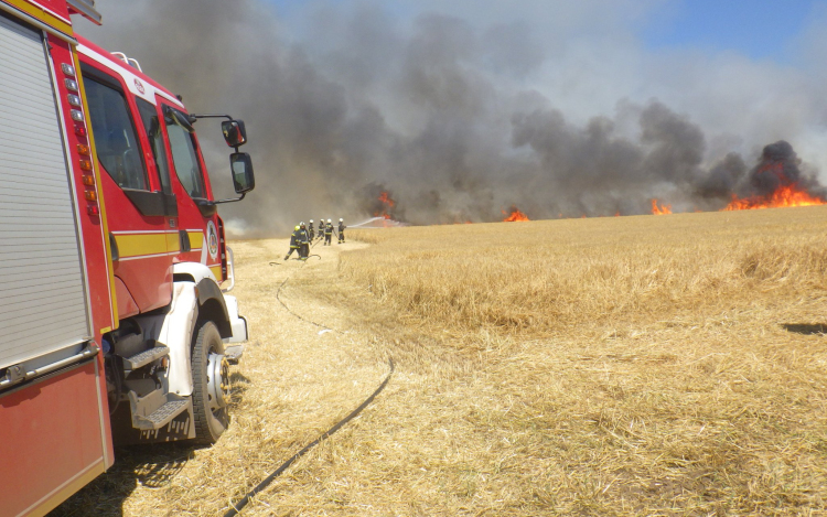 Tűzgyújtási tilalmat rendeltek el Veszprém megyében