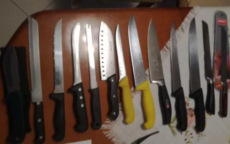 Késeket és fagyasztott húst lopott