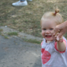 Vajda Péter Lakótelepi Nap