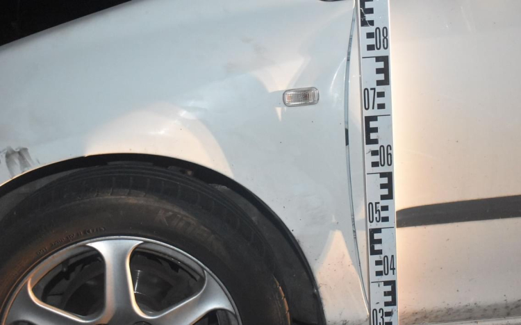 Újabb őzelütés Pápa térségében