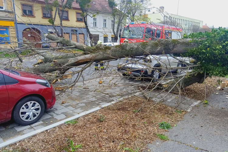 Viharos szél: Kidőlt egy fa a Szent István útra