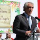 Városi Ballagás - Pápa - 2016