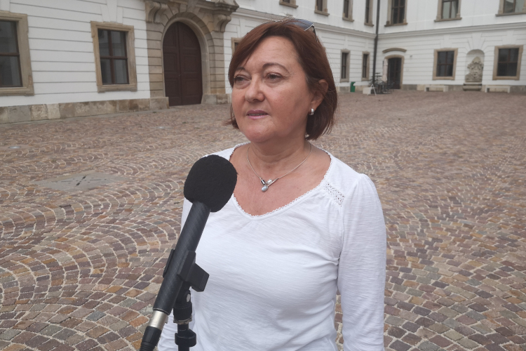 Elhalasztják a borfesztivált, augusztus 20-ra pedig visszafogott programmal készülnek