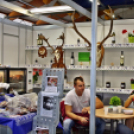 Pápai Agrárexpo - 2018 - Vasárnap