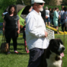 2 x CAC Nemzeti Kutyakiállítás – Pápa