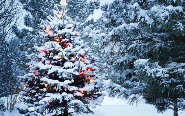 Van esély a fehér karácsonyra!