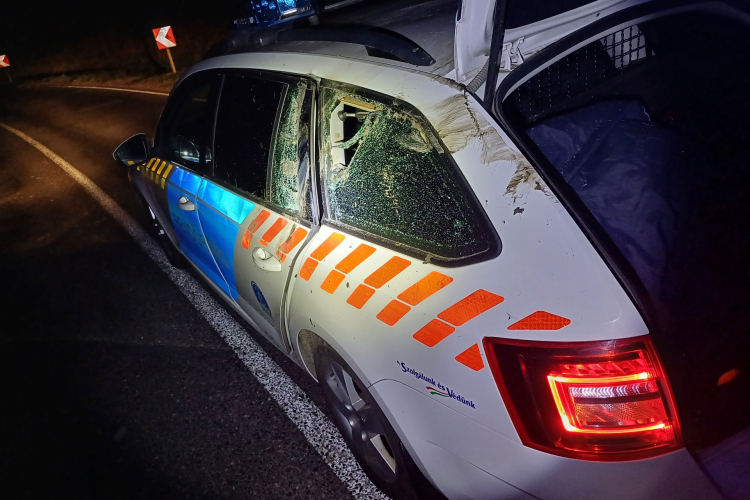 Rendőrautó és szarvasbika találkozott Kapolcsnál