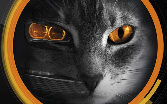 Újra elindult a „Látni és látszani” akció 