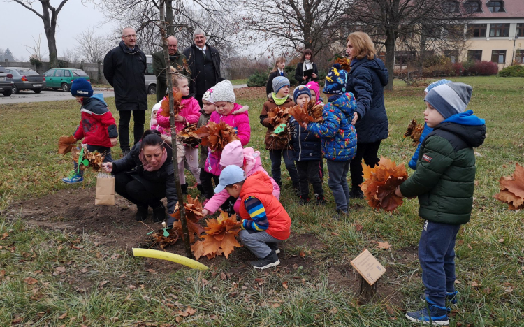Pápán folytatódott az Országfásítási Program