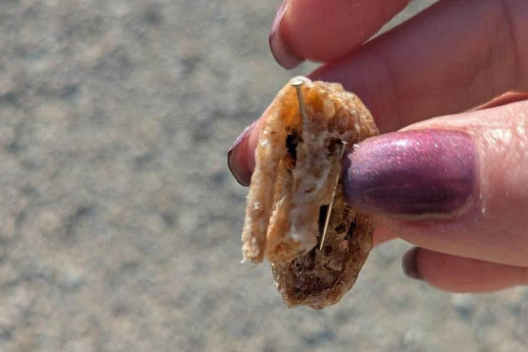 Valaki kutyákat mérgez meg a Malomkert lakóparkban