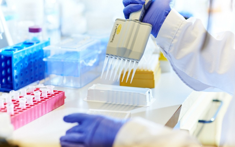 Közfinanszírozott egészségügyi beavatkozáshoz az Egészségügyi Alap fizeti a koronavírus tesztet